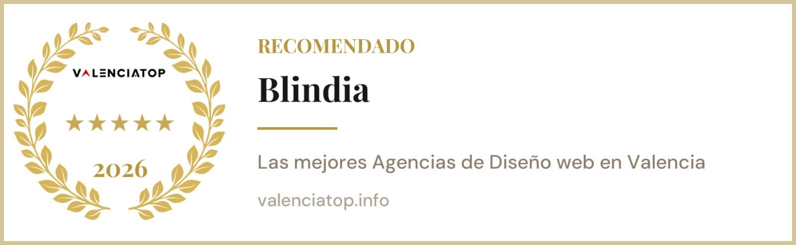 mejores agencias diseño web valencia blindia