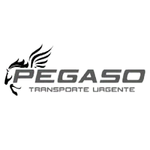 Pegaso Logística Urgente